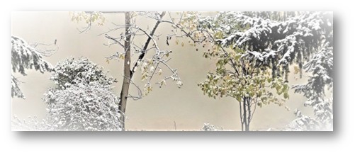 Beschreibung des Bildes