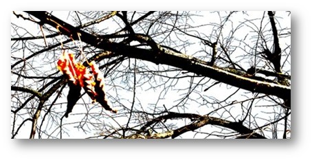 Beschreibung des Bildes